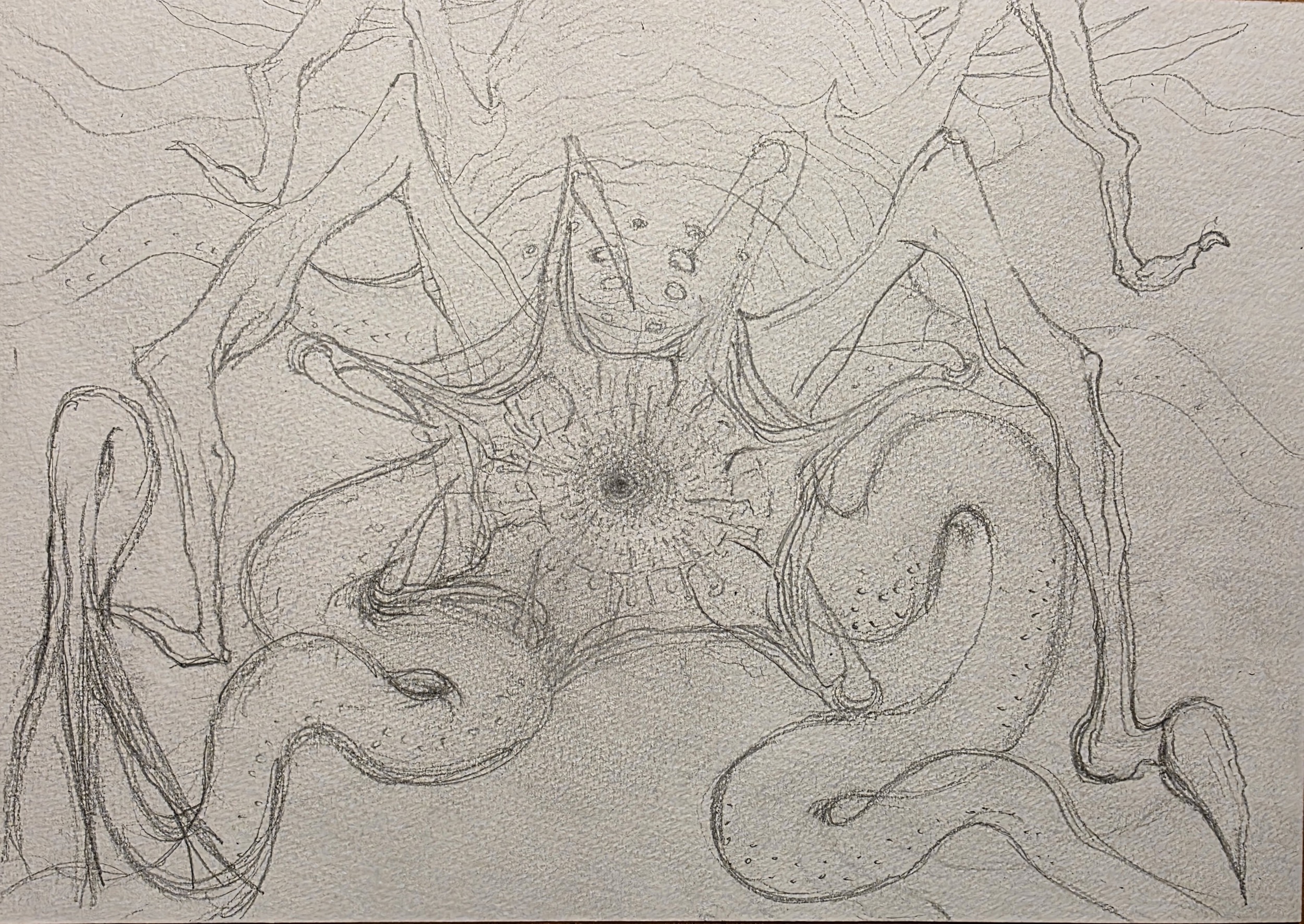 Conjuction_Queen_Stage_2_hand_sketch