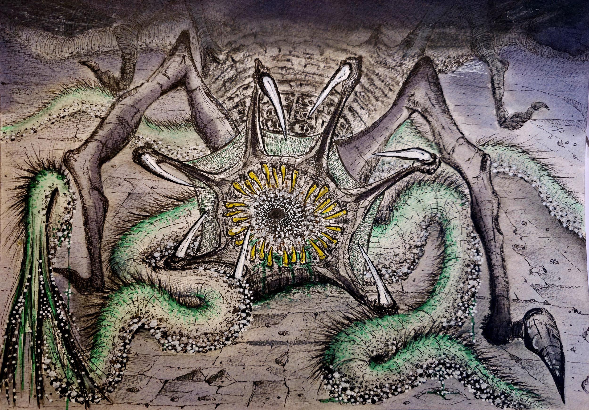 Conjuction_Queen_Stage_5_final_hand_illustration